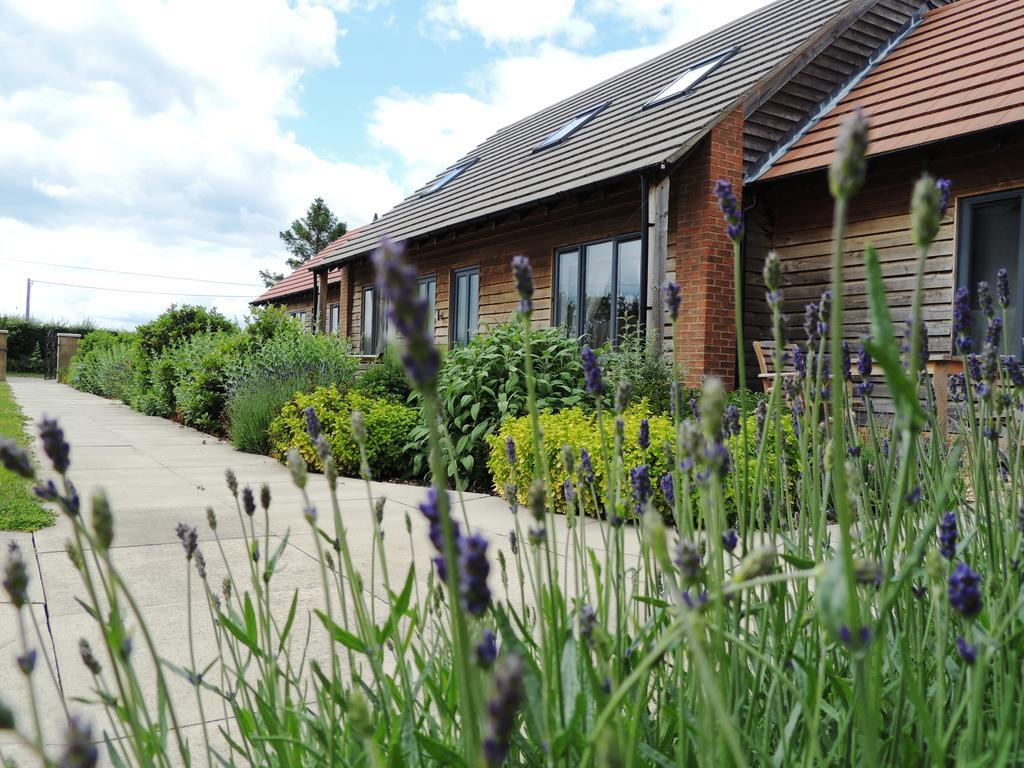 Elm Tree Farm Accommodation Milton Keynes Extérieur photo